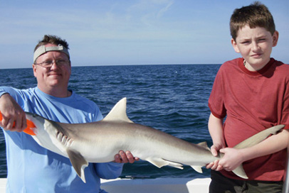 Inshore Shark