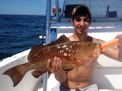RED GROUPER