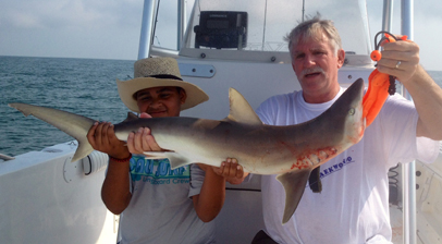 Inshore Shark