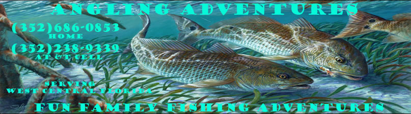 Angling Adventures Banner