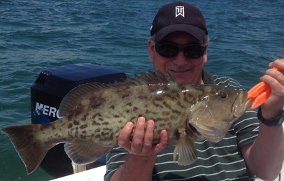 Inshore Gag grouper